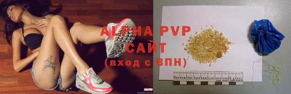 дживик Белокуриха