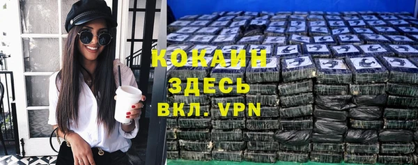 сатива Балахна