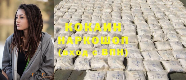 дживик Белокуриха