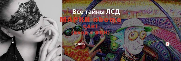 сатива Балахна