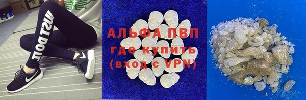 сатива Балахна