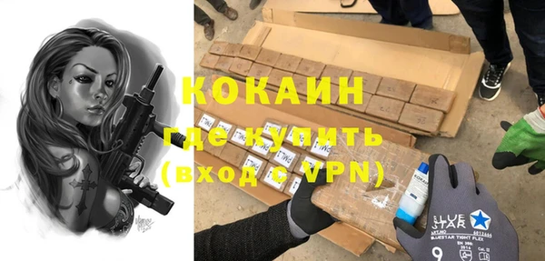 дживик Белокуриха
