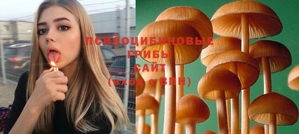 сатива Балахна