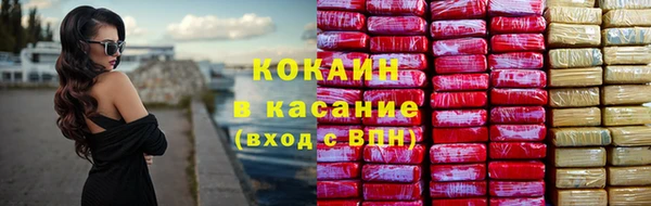 дживик Белокуриха